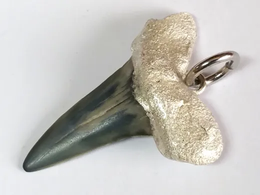 Fossiler Haizahn - Anhänger versilbert mit Edelstahl Ring HxB 29x25 mm