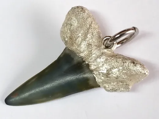 Fossiler Haizahn - Anhänger versilbert mit Edelstahl Ring HxB 29x25 mm