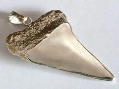 Anhänger Haizahn Isurus Hastalis in 900er Silber 14,1 Gramm Originalabdruck
