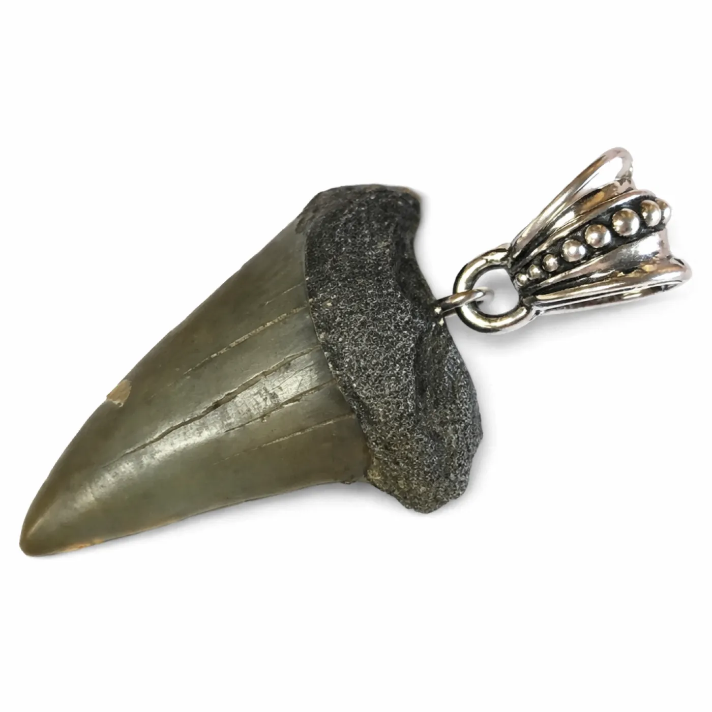 Fossiler Haizahn-Anhänger mit Metallschlaufe, H × B 32 × 22 mm