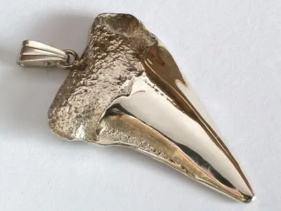 Anhänger Haizahn Isurus Hastalis in 900er Silber 14,1 Gramm Originalabdruck