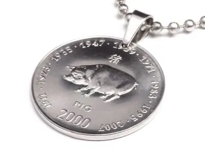 Anhänger Sternzeichen Schwein Münze 10 Schilling Somaliland Ø 25 mm